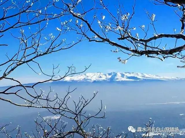 女生说你好幽默回复方法？